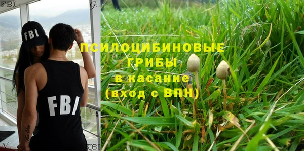 винт Алзамай