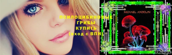 стафф Покачи
