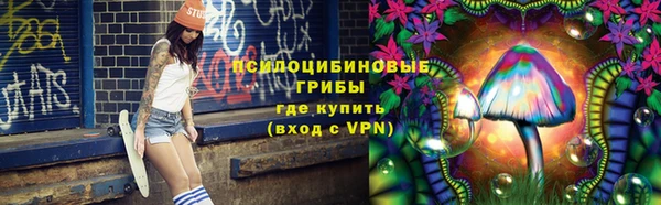 винт Алзамай
