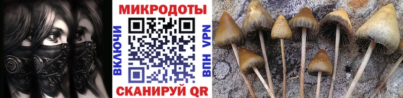 где купить наркоту  Орлов  Псилоцибиновые грибы Psilocybine cubensis 